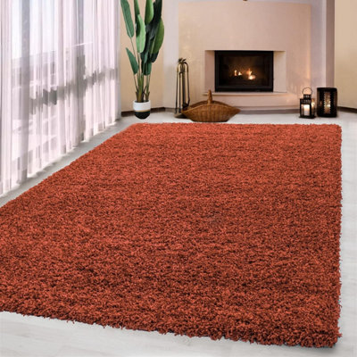UETIAN Luxurious Shaggy Rugs Soft Extra Thick Area Rugs Heavy 5Cm Dense Pile For Living Room Bedroom Hallway (Terracota, 160 X 230Cm) - image 1