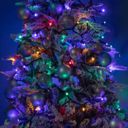 Samuel Alexander 24M Set Of 300 Connectable String Lights With Multi-Coloured Leds - thumbnail 4