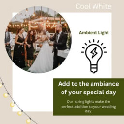 Party Festoon - Warm White, 20 Indoor Outdoor Globe String Lights For Garden - thumbnail 3