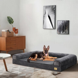 Bingopaw 2Xl Orthopedic Memory Foam Dog Bed Waterproof Pet Sofa Couch Removable Cover 135 X 100 X 12Cm - thumbnail 4