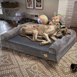 Bingopaw 2Xl Orthopedic Memory Foam Dog Bed Waterproof Pet Sofa Couch Removable Cover 135 X 100 X 12Cm - thumbnail 2