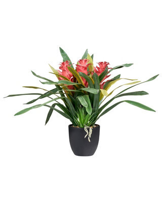 Wyld And Coco Lushgarden Faux Guzmania Red Bloom Artificial Plant - Indoor Decor, 50Cm Height - image 1