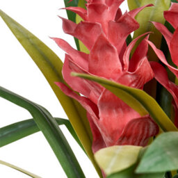 Wyld And Coco Lushgarden Faux Guzmania Red Bloom Artificial Plant - Indoor Decor, 50Cm Height - thumbnail 3