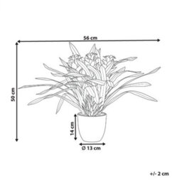 Wyld And Coco Lushgarden Faux Guzmania Red Bloom Artificial Plant - Indoor Decor, 50Cm Height - thumbnail 4