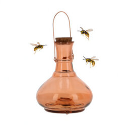 Ckb Ltd 1X Extra Large Wasp Trap Catcher - Glass Honey Pot Bulbous Bottle Design With Metal Hanger (Terracotta)