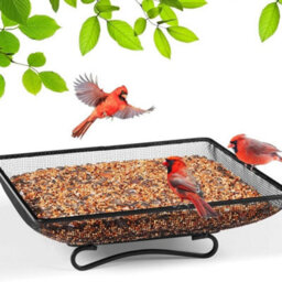 Metal Bird Mesh Ground Feeder Tray Platform For Garden Wild Birds 17X17X5.5Cm - thumbnail 1