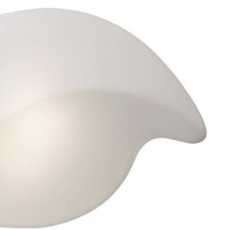 Luminosa Lighting Luminosa Natura Ceiling/wall Outdoor Large 2 Light E27 Ip44, Matt White/opal White - thumbnail 6