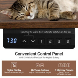 Gainoom Ergonomic Brown Stand Up Desk 120X60Cm Electric Standing Computer Desk - thumbnail 7
