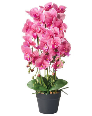 Wyld And Coco 65Cm Artificial Pink Orchid In Decorative Pot - Realistic Blossoms And Lush Foliage, Maintenance-Free Indoor Décor - image 1