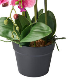 Wyld And Coco 65Cm Artificial Pink Orchid In Decorative Pot - Realistic Blossoms And Lush Foliage, Maintenance-Free Indoor Décor - thumbnail 5