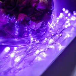 240 Led Purple Multi-Function Christmas String Lights With Clear Cable - thumbnail 5