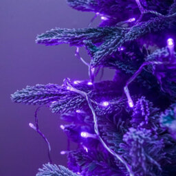 240 Led Purple Multi-Function Christmas String Lights With Clear Cable - thumbnail 7
