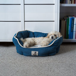 All Pond Solutions All Pet Solutions Alfie - Navy Soft Dog Bed - Size Large - thumbnail 6