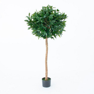 GreenBrokers Artificial Bay Laurel Trees With Real Wood Trunk, Natural Leaf And Brown Berries, 4Ft/120 Cm - image 1