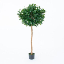 GreenBrokers Artificial Bay Laurel Trees With Real Wood Trunk, Natural Leaf And Brown Berries, 4Ft/120 Cm