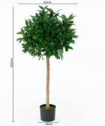 GreenBrokers Artificial Bay Laurel Trees With Real Wood Trunk, Natural Leaf And Brown Berries, 4Ft/120 Cm - thumbnail 2