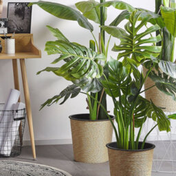 Beliani 113Cm Artificial Potted Monstera Plant Green With Cement Pot - Indoor Decorative Accent - thumbnail 2