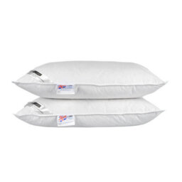 Homescapes White Duck Feather And Down Pillow Pair - thumbnail 1