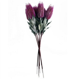 Leaf Pack Of 6 X 75Cm Banksia Menziesii Pink Flower Stem Artificial - thumbnail 2