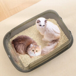 GardenSkill Large Open Cat Litter Tray - Deep High-Sided Litter Box For Cats And Kittens - Anti-Spill Rim, Easy Clean, Low Entry - Free Scoop - thumbnail 3