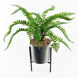 Leaf 40Cm Artificial Fern With Ceramic Planter & Stand - thumbnail 5