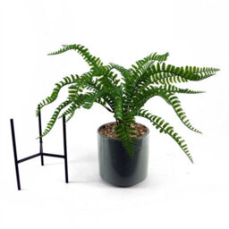 Leaf 40Cm Artificial Fern With Ceramic Planter & Stand - thumbnail 6