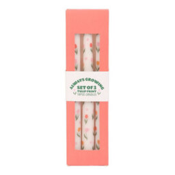 Something Different Tulip Taper Candle (Pack Of 3) White (One Size) - thumbnail 3