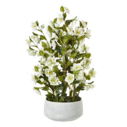 Hill Interiors Hellebore Artificial Potted Plant White/grey (41Cm X 33Cm X 38Cm)