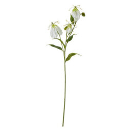 Wyld Haus Set Of 3 Cream Gloriosa Artificial Flower Sprays, 840mm Stems - thumbnail 1