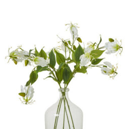 Wyld Haus Set Of 3 Cream Gloriosa Artificial Flower Sprays, 840mm Stems - thumbnail 3