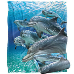 Royce Mcclure Travelers Silky Dolphin Supersoft Blanket Multicoloured (152Cm X 127Cm) - thumbnail 2