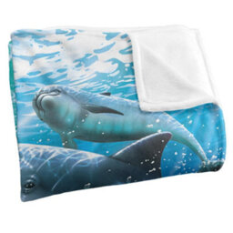 Royce Mcclure Travelers Silky Dolphin Supersoft Blanket Multicoloured (152Cm X 127Cm) - thumbnail 3