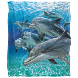 Royce Mcclure Travelers Silky Dolphin Supersoft Blanket Multicoloured (152Cm X 127Cm)