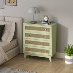 Wyld Haus Rari Sema Light Green 4-Drawer Chest With Rattan-Style Woven Panels - thumbnail 9