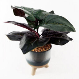 Leaf 35Cm Artificial Ficus Plant With Teal Blue Green Ceramic Planter - thumbnail 3