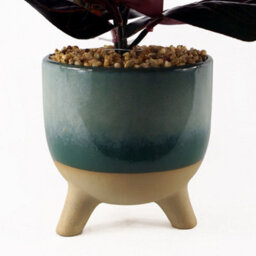 Leaf 35Cm Artificial Ficus Plant With Teal Blue Green Ceramic Planter - thumbnail 2