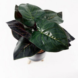 Leaf 35Cm Artificial Ficus Plant With Teal Blue Green Ceramic Planter - thumbnail 4