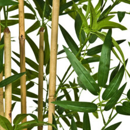 GreenBrokers 2X Artificial Bamboo Trees (140Cm) - thumbnail 3