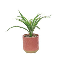 Primrose Artificial Spider Plant In Red Pot 28Cm - thumbnail 1