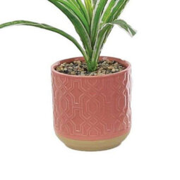 Primrose Artificial Spider Plant In Red Pot 28Cm - thumbnail 2