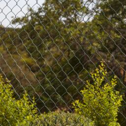 Blooma 50X50mm Pvc-Coated Wire Mesh Roll, (L)20M (H)1M - thumbnail 4