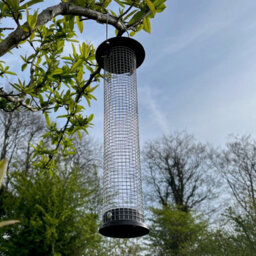 Selections Large Hanging Metal Peanut Bird Feeder - thumbnail 7