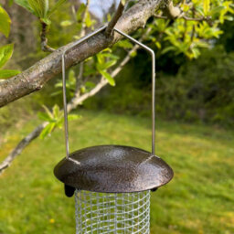 Selections Large Hanging Metal Peanut Bird Feeder - thumbnail 5