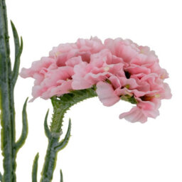 Wyld Haus Set Of 3 Pink Artificial Statice Sprays 640mm Tall Faux Flowers For Indoor Decor - thumbnail 2