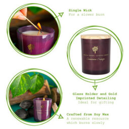 Nicola Spring Cinnamon & Orange Scented Candle 130G 21H Natural Single Wick Soy Wax Aromatherapy Candle Home Fragrance - thumbnail 2