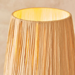 Loops Stylish Elegant Table Lamp With Raffia Shade And Brushed Brass Finish - thumbnail 7