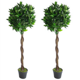 Leaf Pair Of 120Cm (4Ft) Twist Natural Artificial Topiary Bay Laurel Ball Trees - thumbnail 2