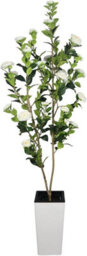 London Boutique 180 Cm Artificial Camellia Tree, Tall White Planter, Faux Flower Tree, Indoor Outdoor Decor, Entryway Living Room