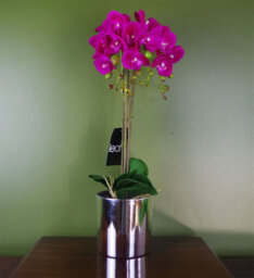 Leaf 52Cm Artificial Orchid Large Dark Pink And Silver