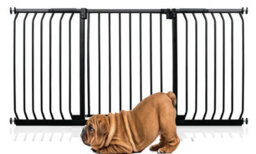 Bettacare Elite Pressure Dog Gate, 152Cm - 161Cm, Matt Black, Pressure Fit Pet Gate For Dog And Puppy - thumbnail 1